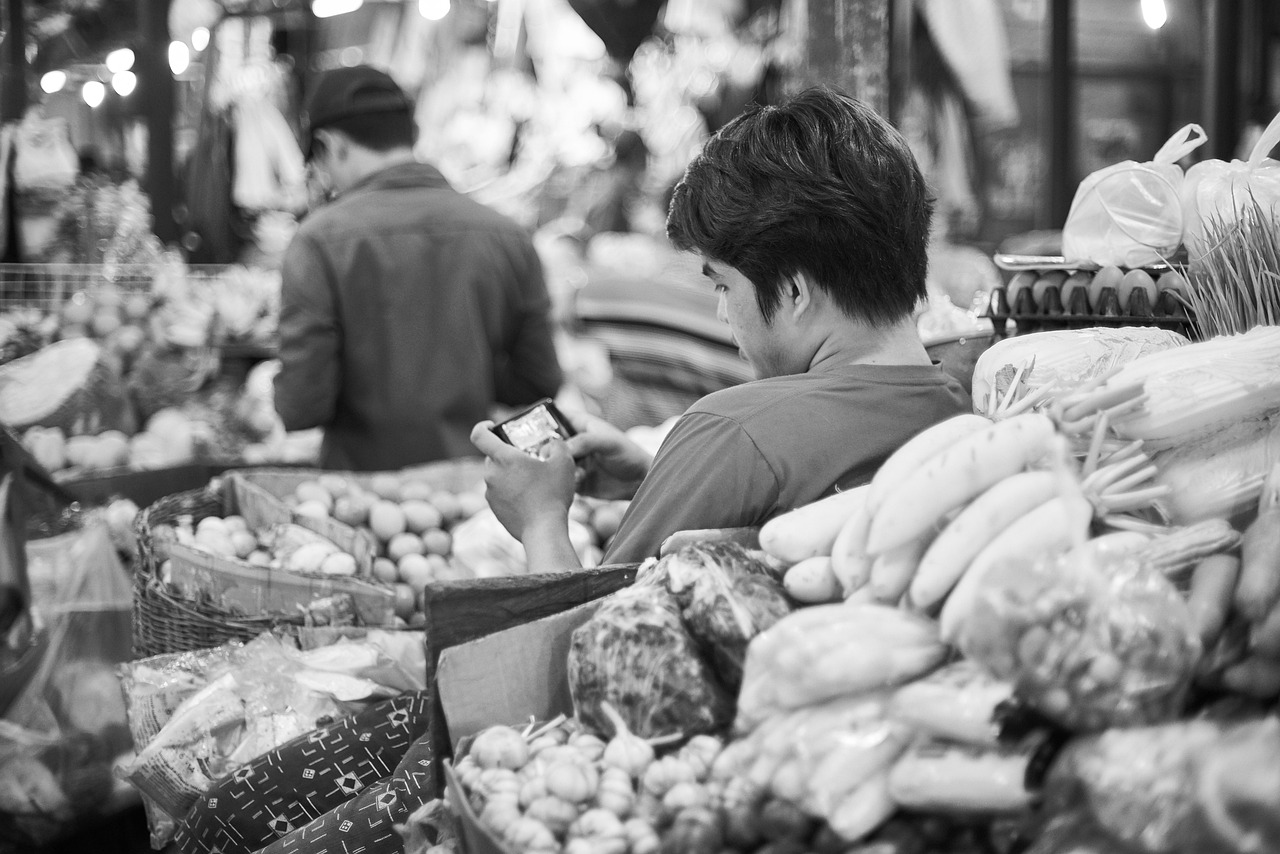 探索合肥至广州：美食之旅与文化体验全攻略