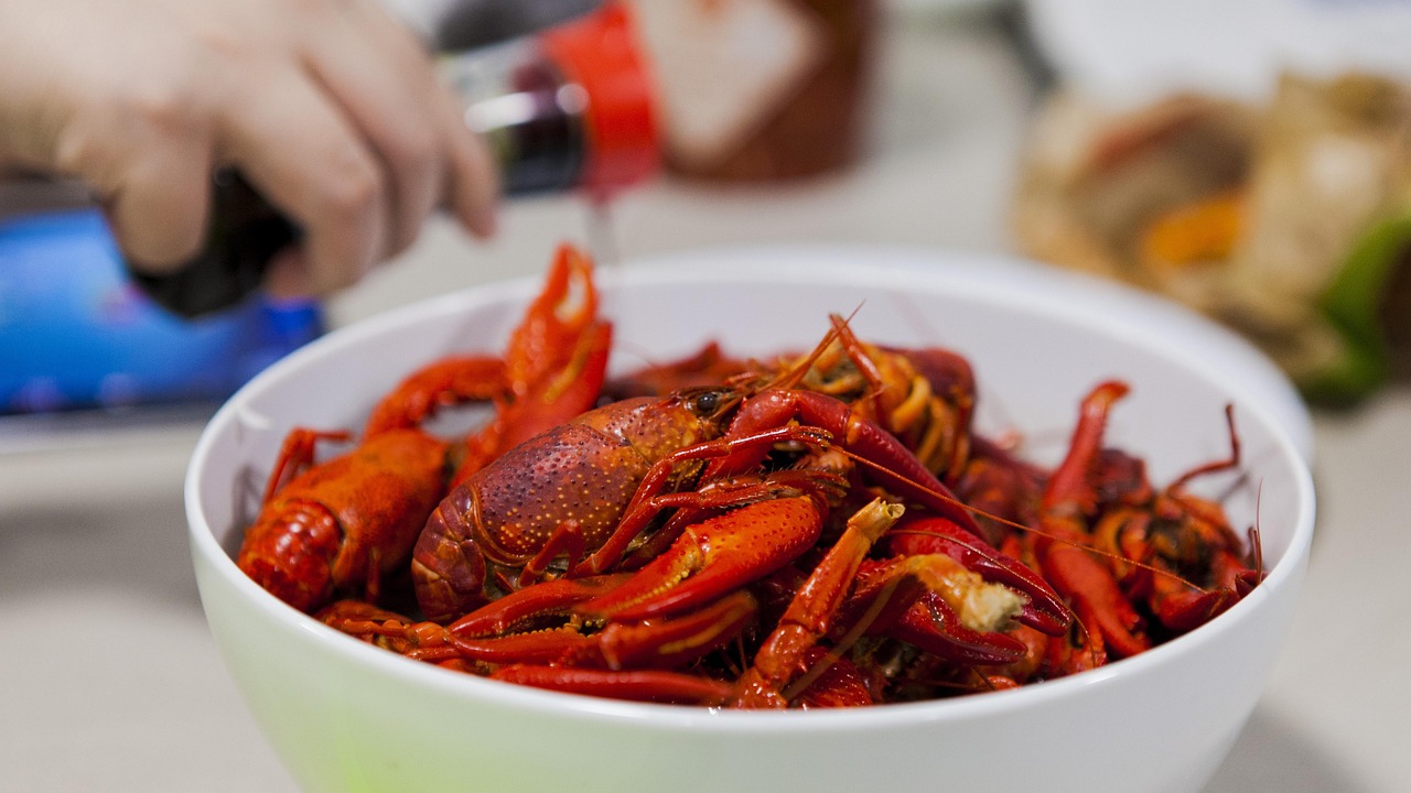 惠州夜宵美食攻略，夜幕下的味蕾盛宴