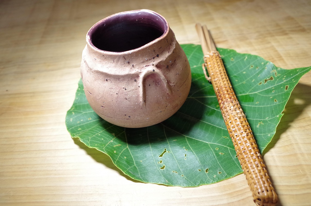 动画美食菜谱教程，用创意与美味点亮你的餐桌