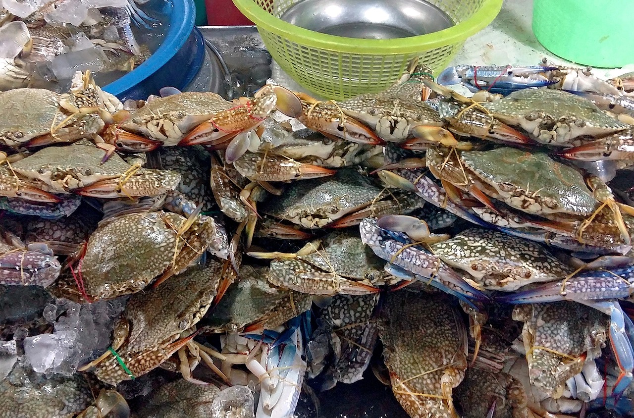 泰国传统美食，味蕾上的热带风情